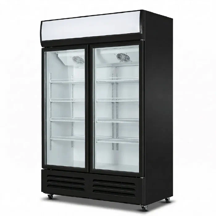 Double Glass Door Cooler - B Series