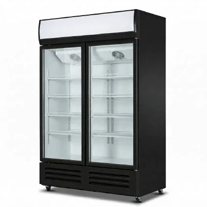 Double Glass Door Cooler - B Series